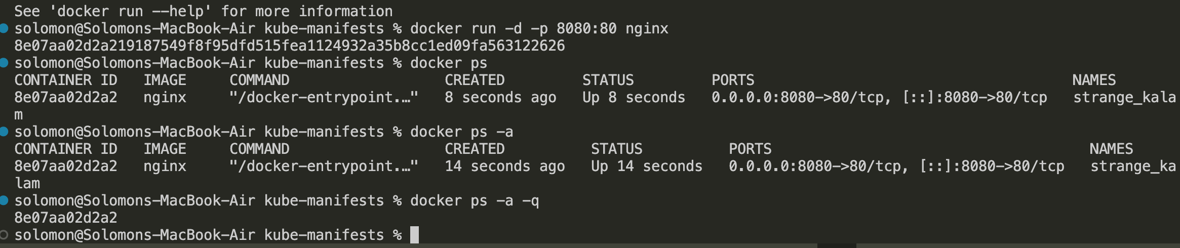 docker run