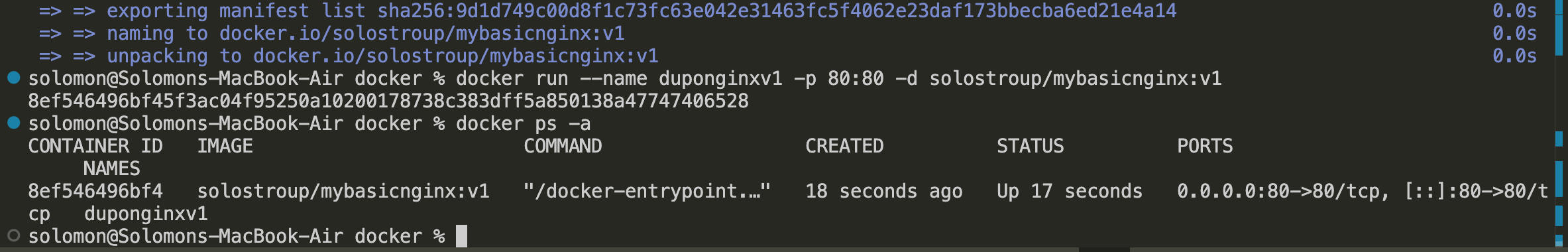 dockerrun